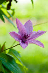 Similar image 20998185