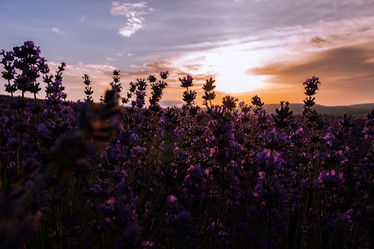 Similar image 20992647