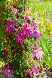 Similar image 20998199