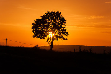 Similar image 20987091