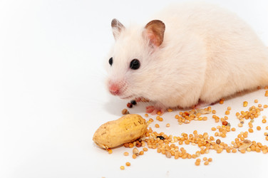 Similar image 20987093