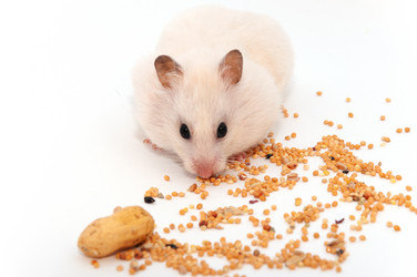 Similar image 20992649