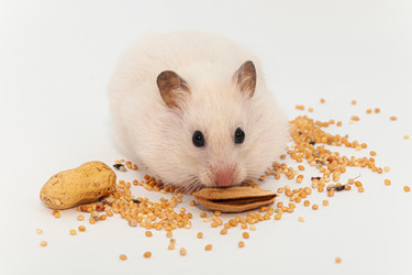 Similar image 20987223