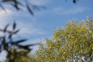 Similar image 20987331