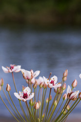 Similar image 20987332