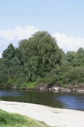 Similar image 20987341