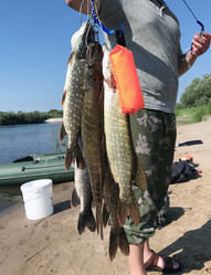 Similar image 20987354