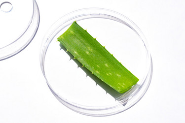 Similar image 20984594