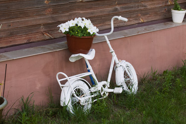 Similar image 20987434