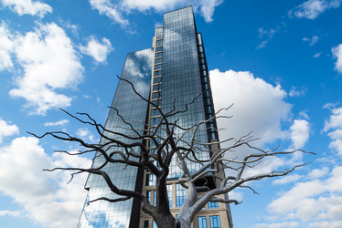 Similar image 20984602