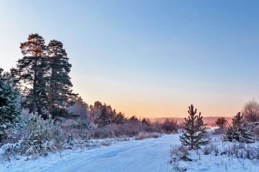 Similar image 20987459