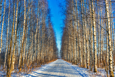 Similar image 20987461