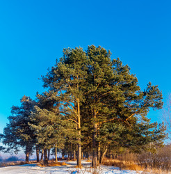 Similar image 20987469