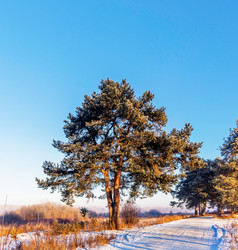 Similar image 20987470