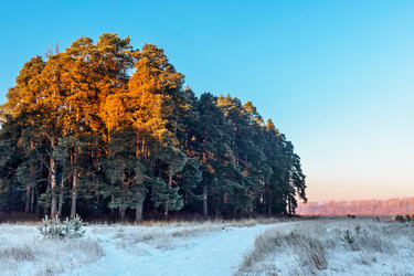 Similar image 20987475