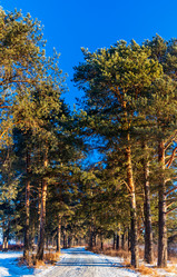 Similar image 20987485