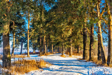 Similar image 20987560