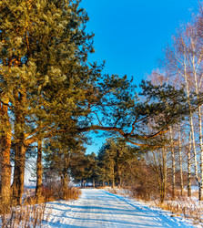 Similar image 20987561