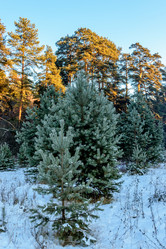 Similar image 20987565