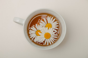 Similar image 21006558