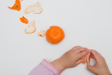 Similar image 21006649