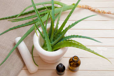 Similar image 21006742