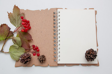 Similar image 21006880