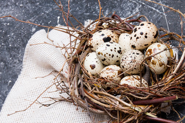 Similar image 21014821