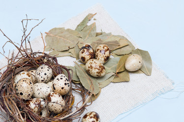 Similar image 21014823