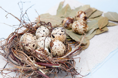 Similar image 21014824