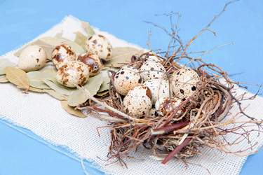 Similar image 21014825