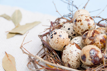 Similar image 21014828