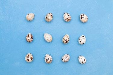 Similar image 21014966