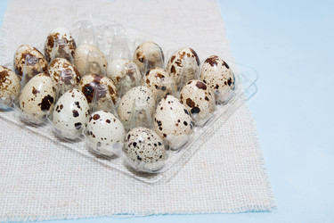 Similar image 21014967