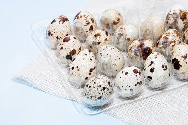 Similar image 21014968