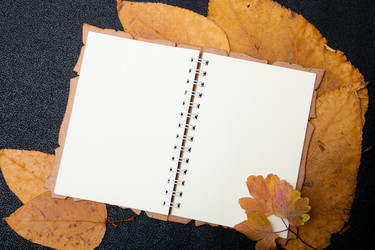 Similar image 21006832