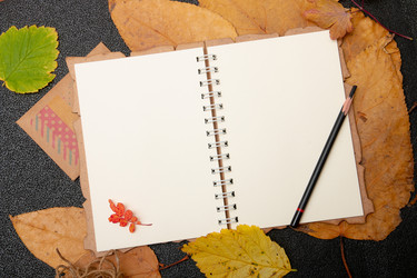 Similar image 21006834