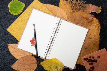 Similar image 21006835