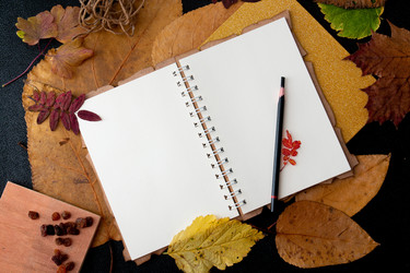 Similar image 21006836