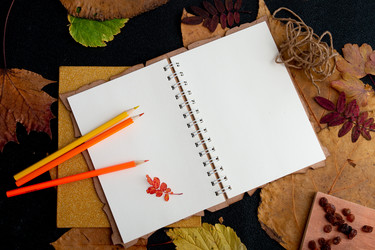 Similar image 21006899