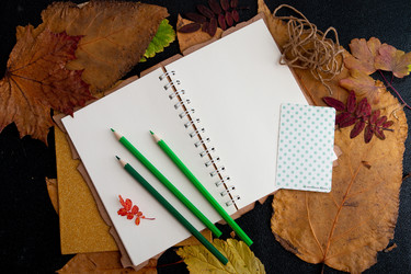 Similar image 21006900