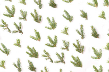 Similar image 21006979