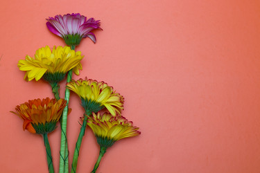 Similar image 20994661