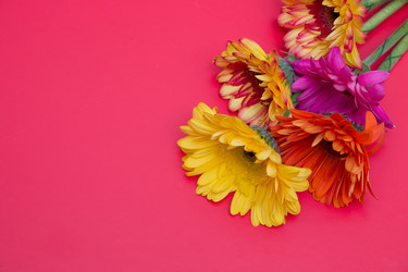 Similar image 21006586