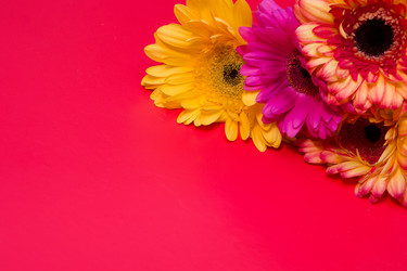 Similar image 21006587