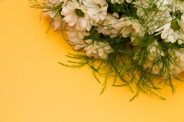 Similar image 21006589