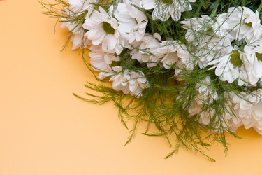 Similar image 21006590