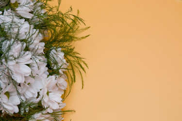 Similar image 21006591