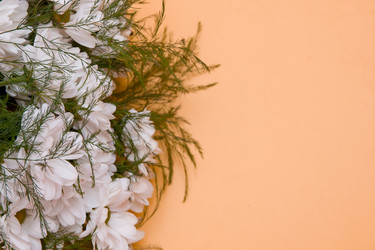 Similar image 21006673