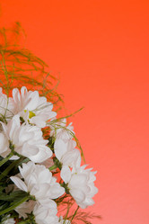 Similar image 21006674